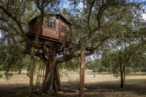 Casa sull'albero Lombardia